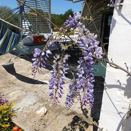 Trullo Ada Дом отдыха Челье-Мессапика
